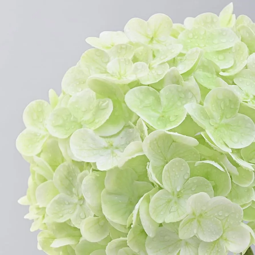 Flores falsas Hydrangea de toque real