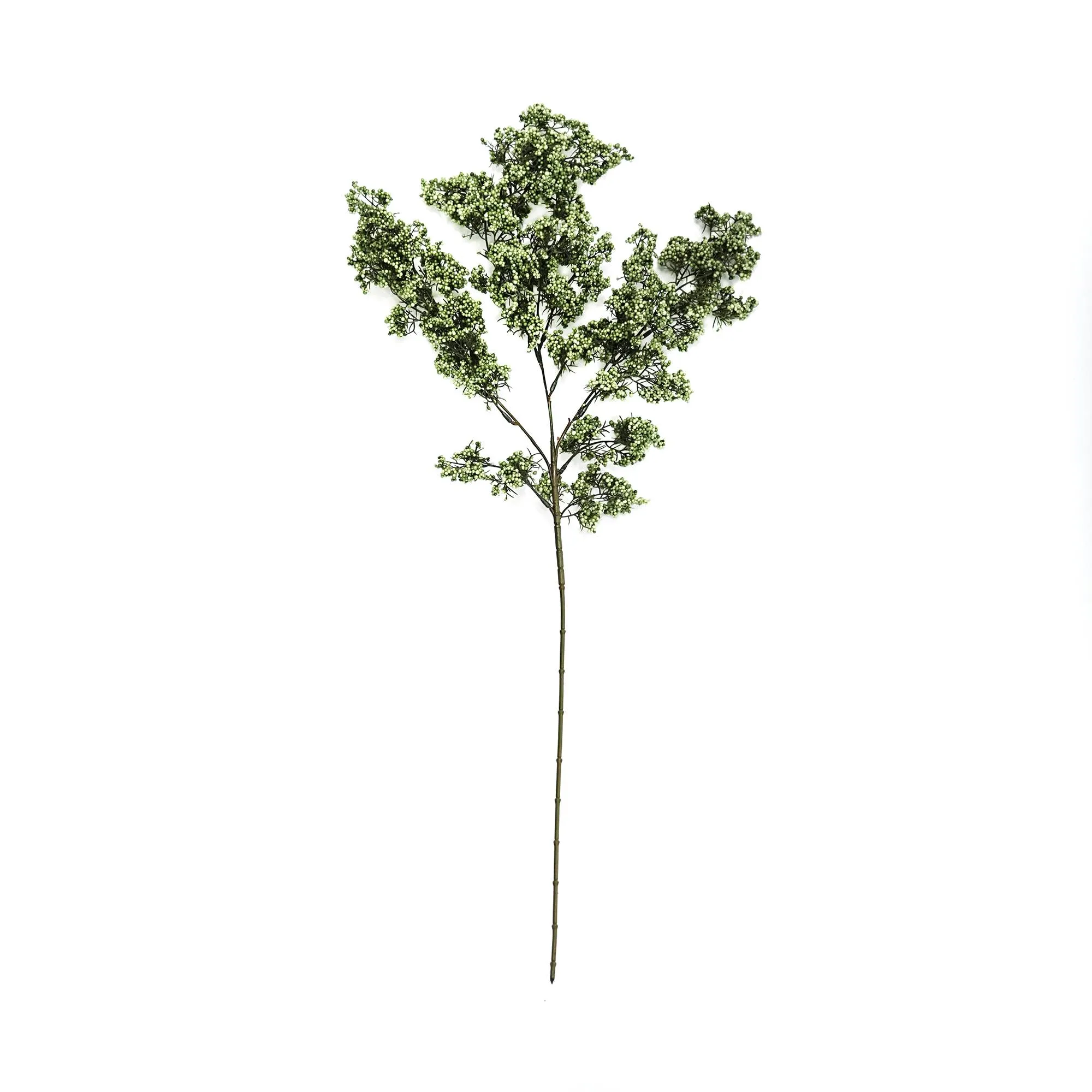 Una sola fruta verde invernal