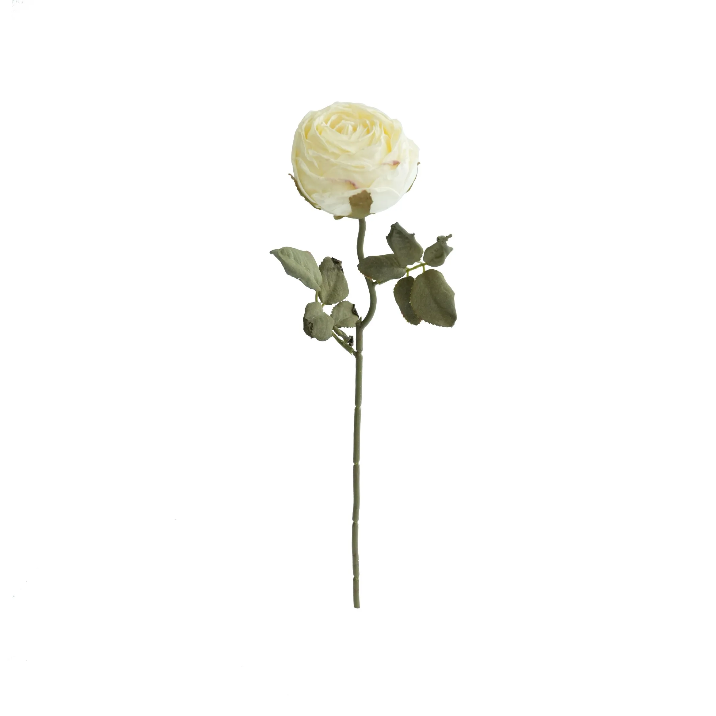 Rosas redondas picadas