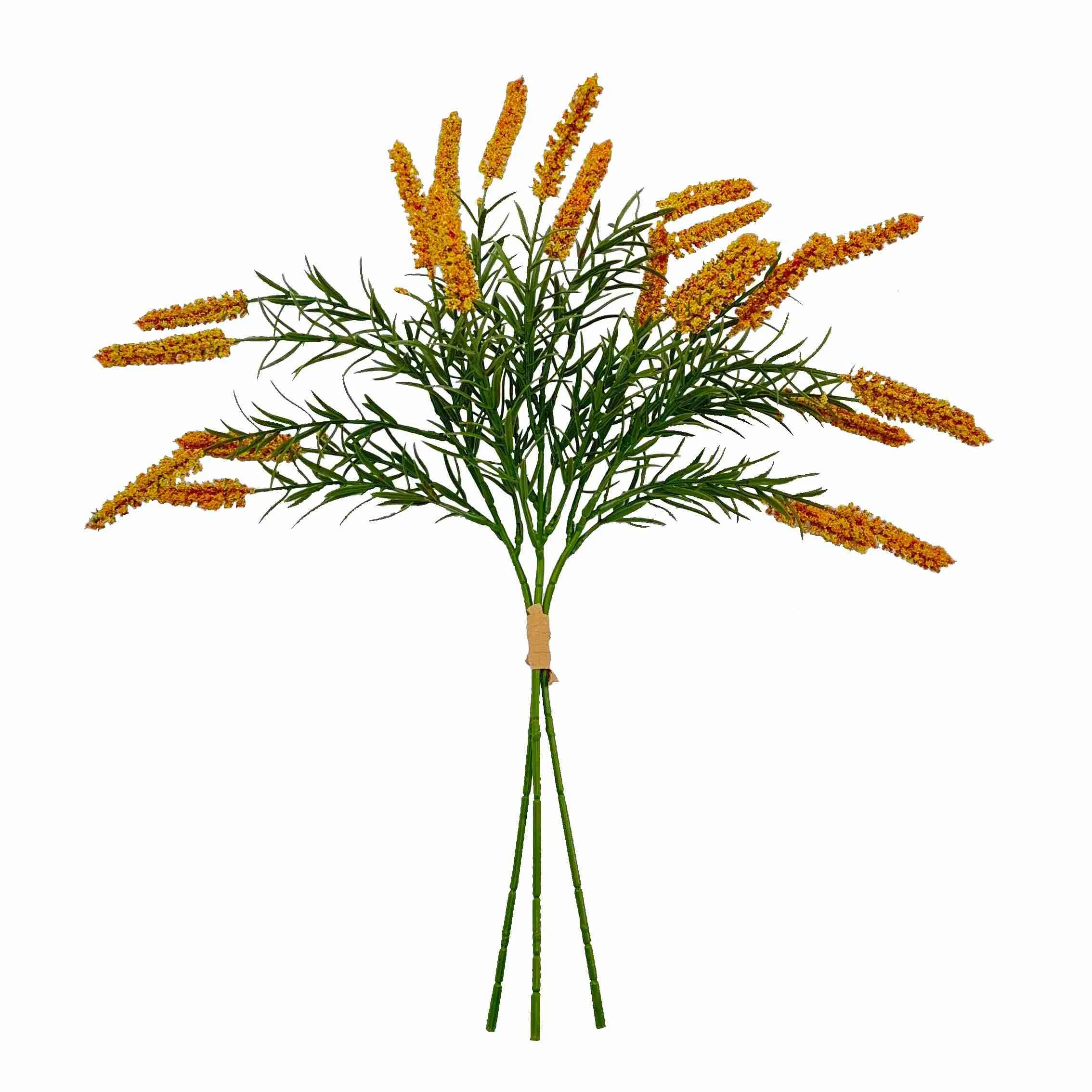 Punte de las flores de caña
