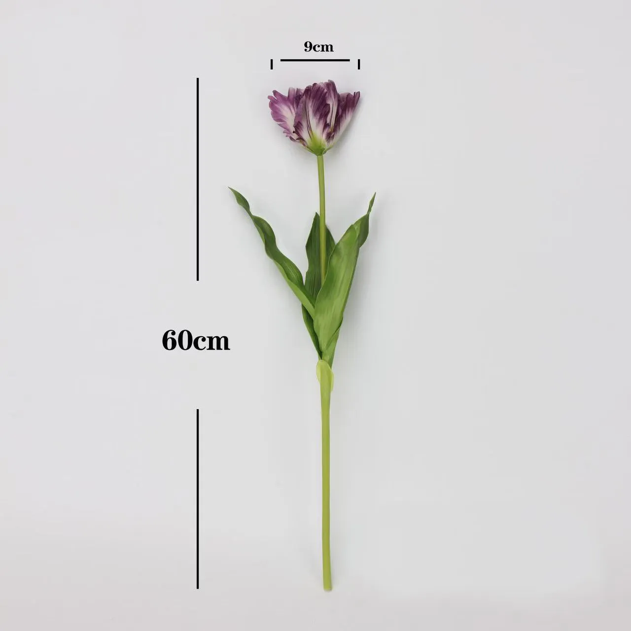Tulipán Monet