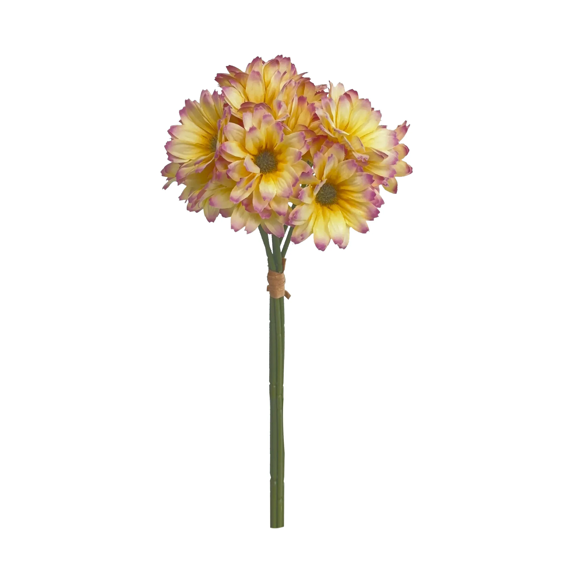 Toma un montón de girasoles