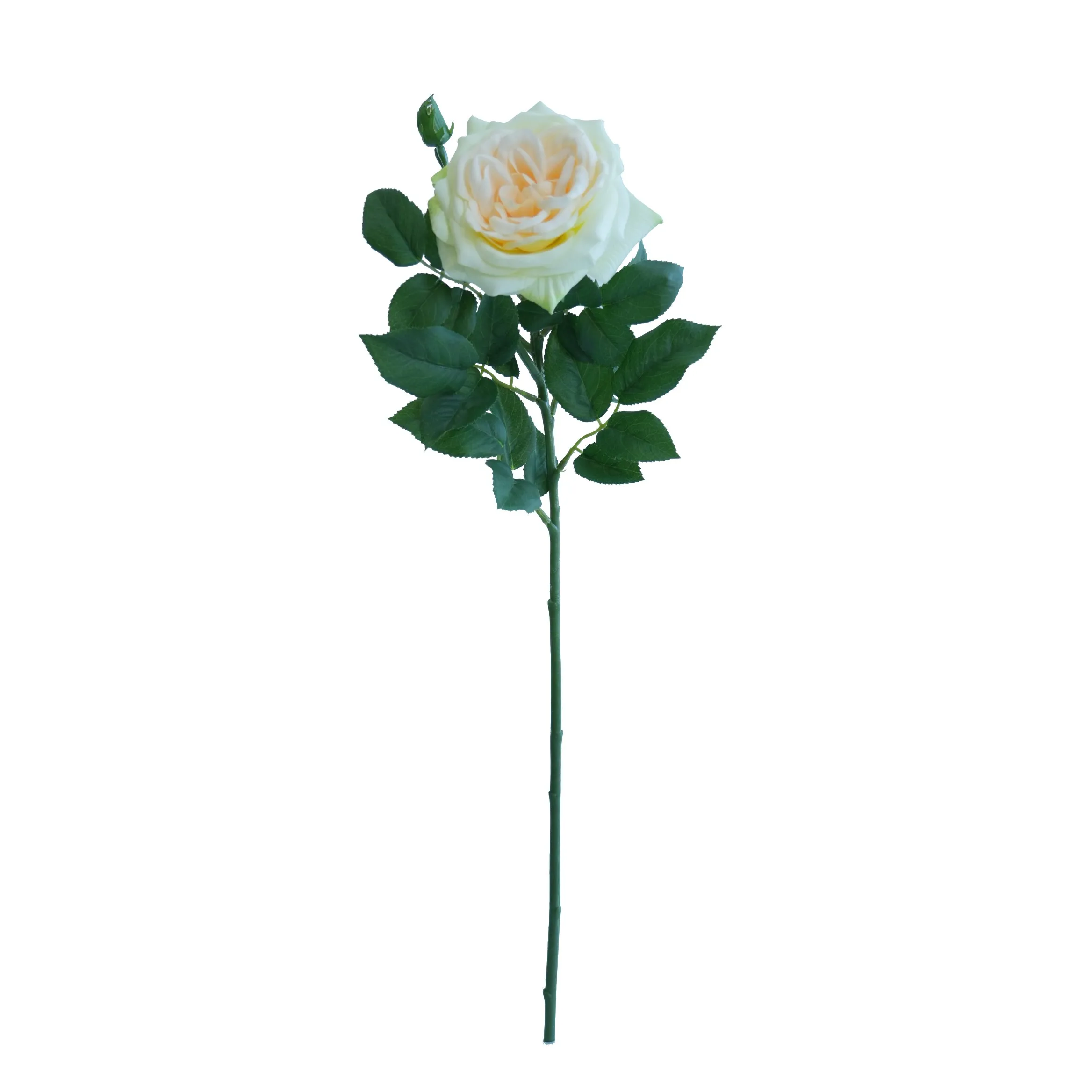 Rose de Lychee individual