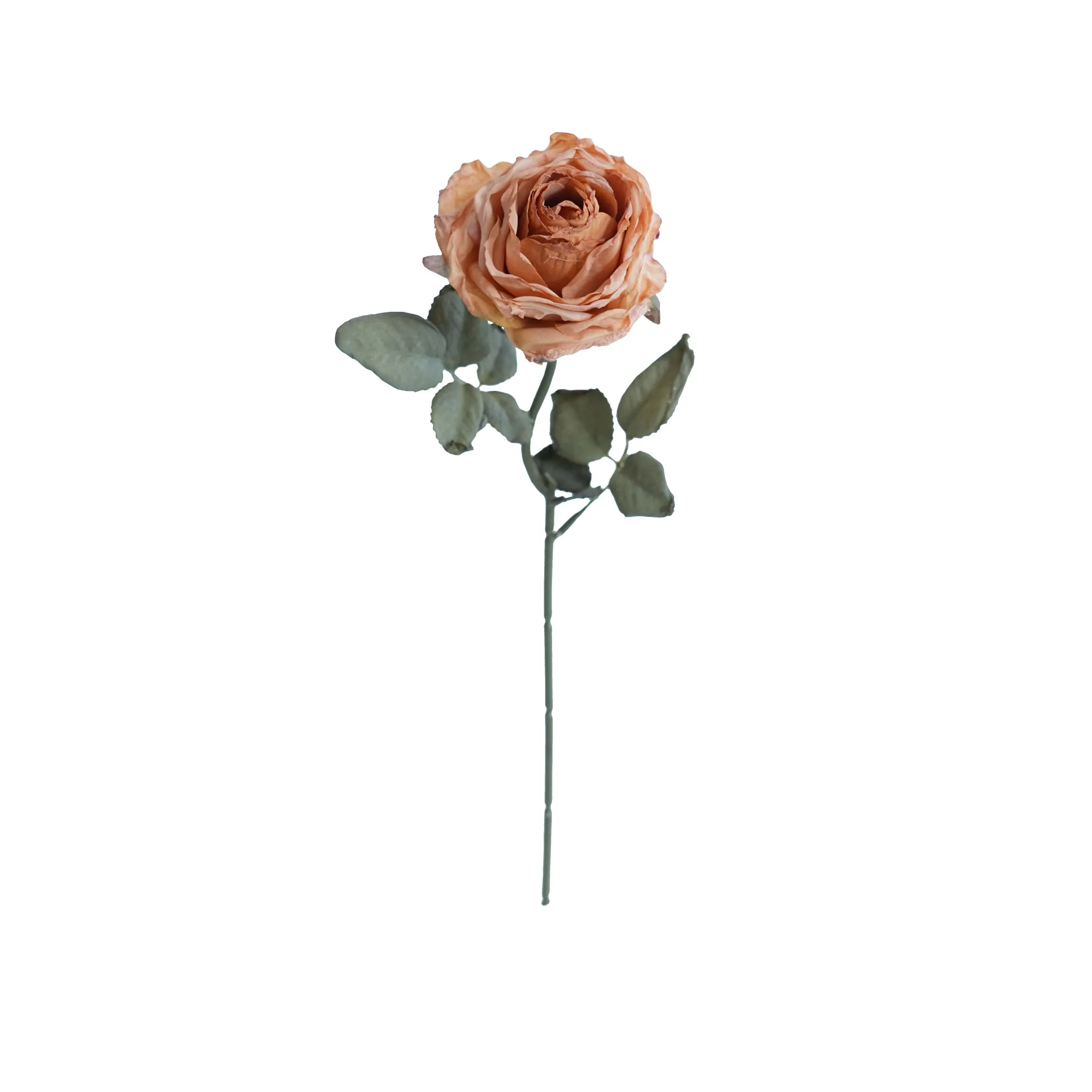 Rosas multicapa con bordes de corcho