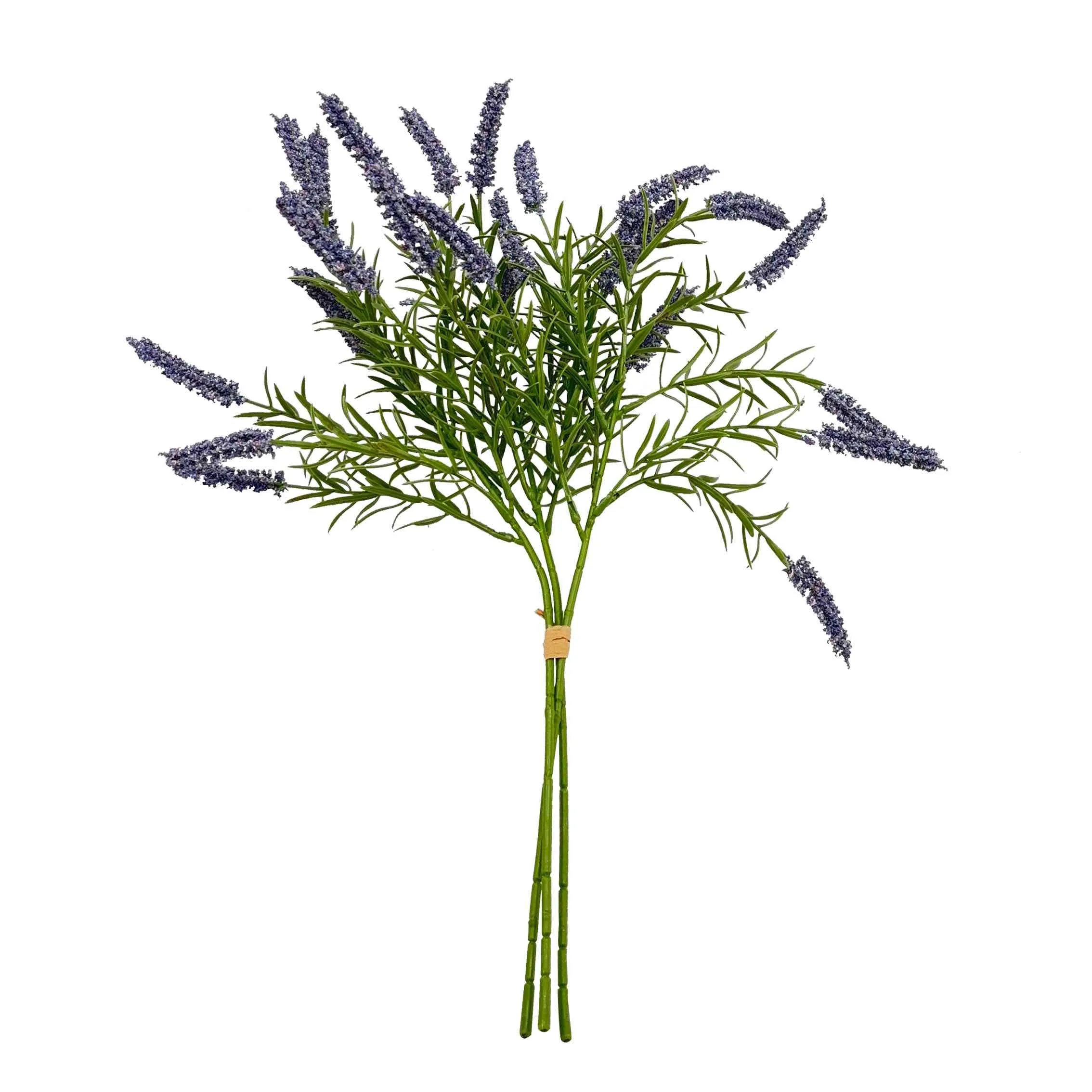 Punte de las flores de caña