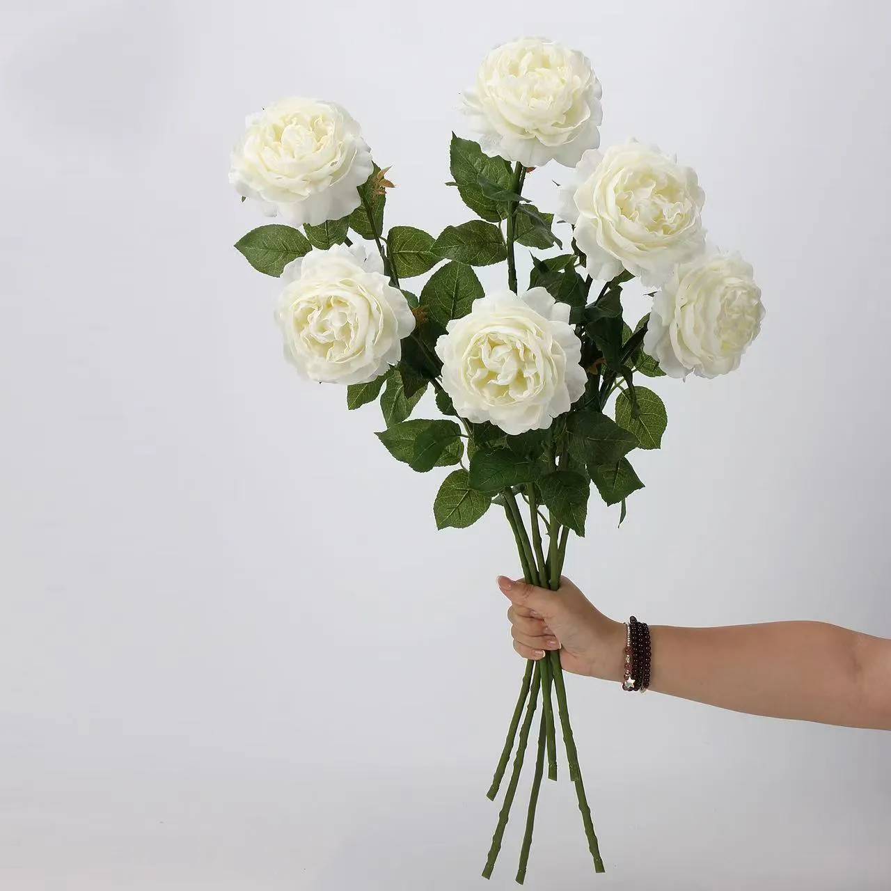 Rocío de loto rosa