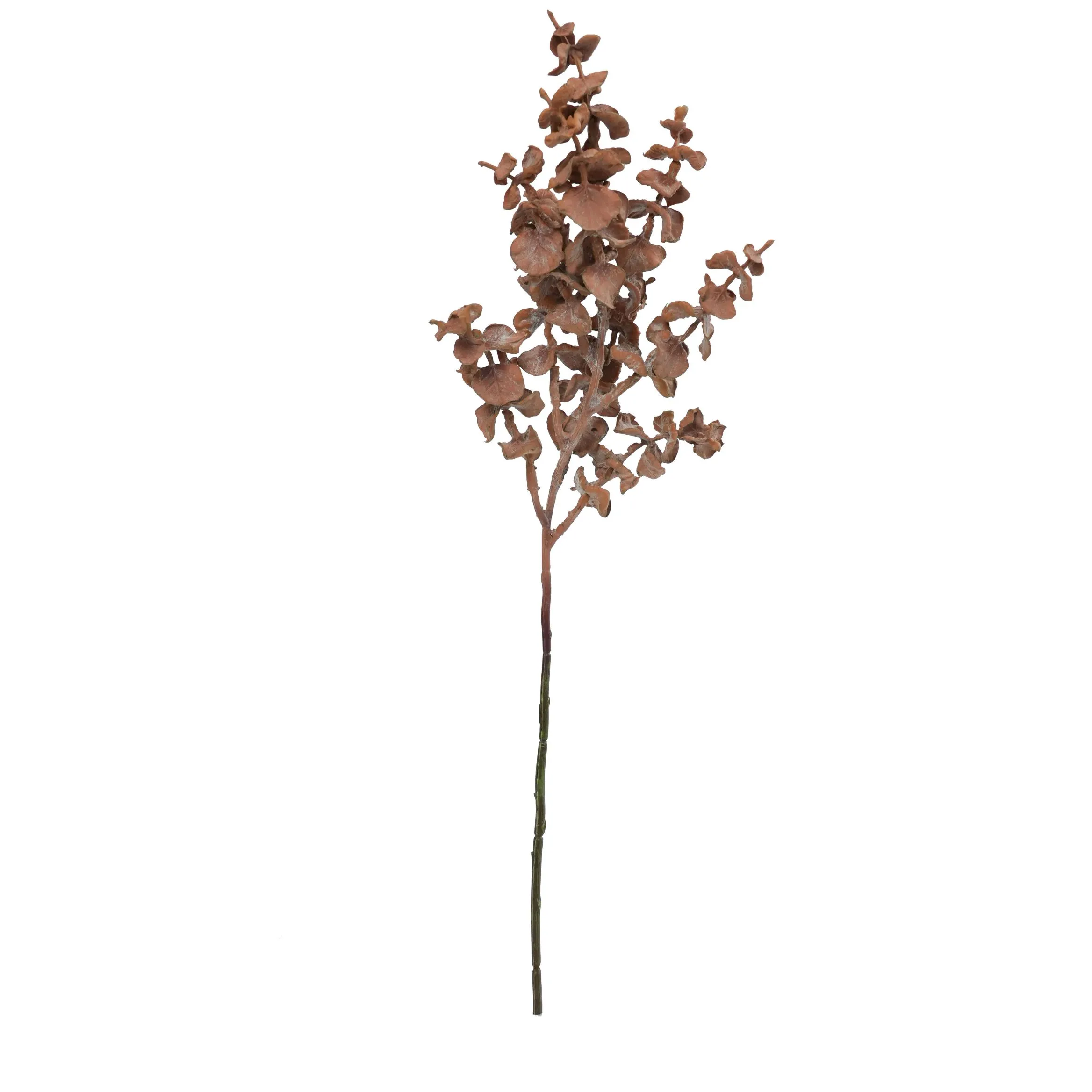 Una sola hoja de moneda de cobre