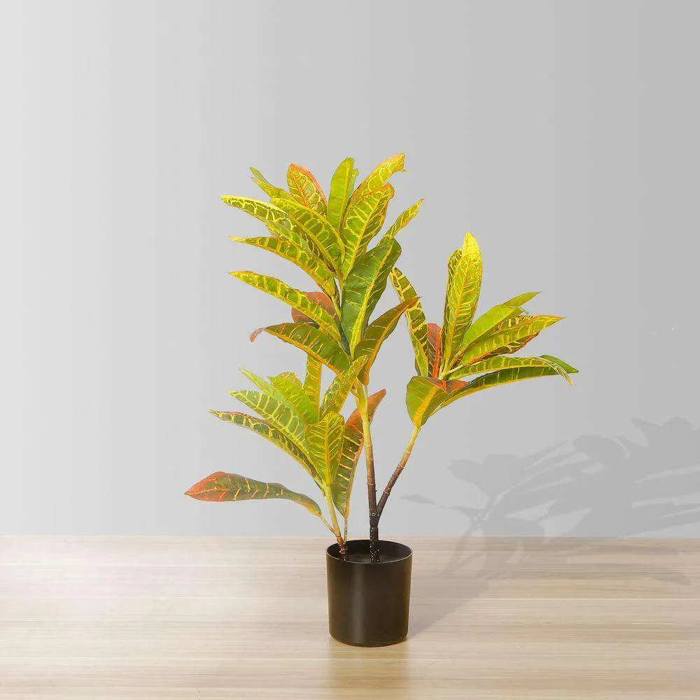 Planta en maceta de crotones artificiales