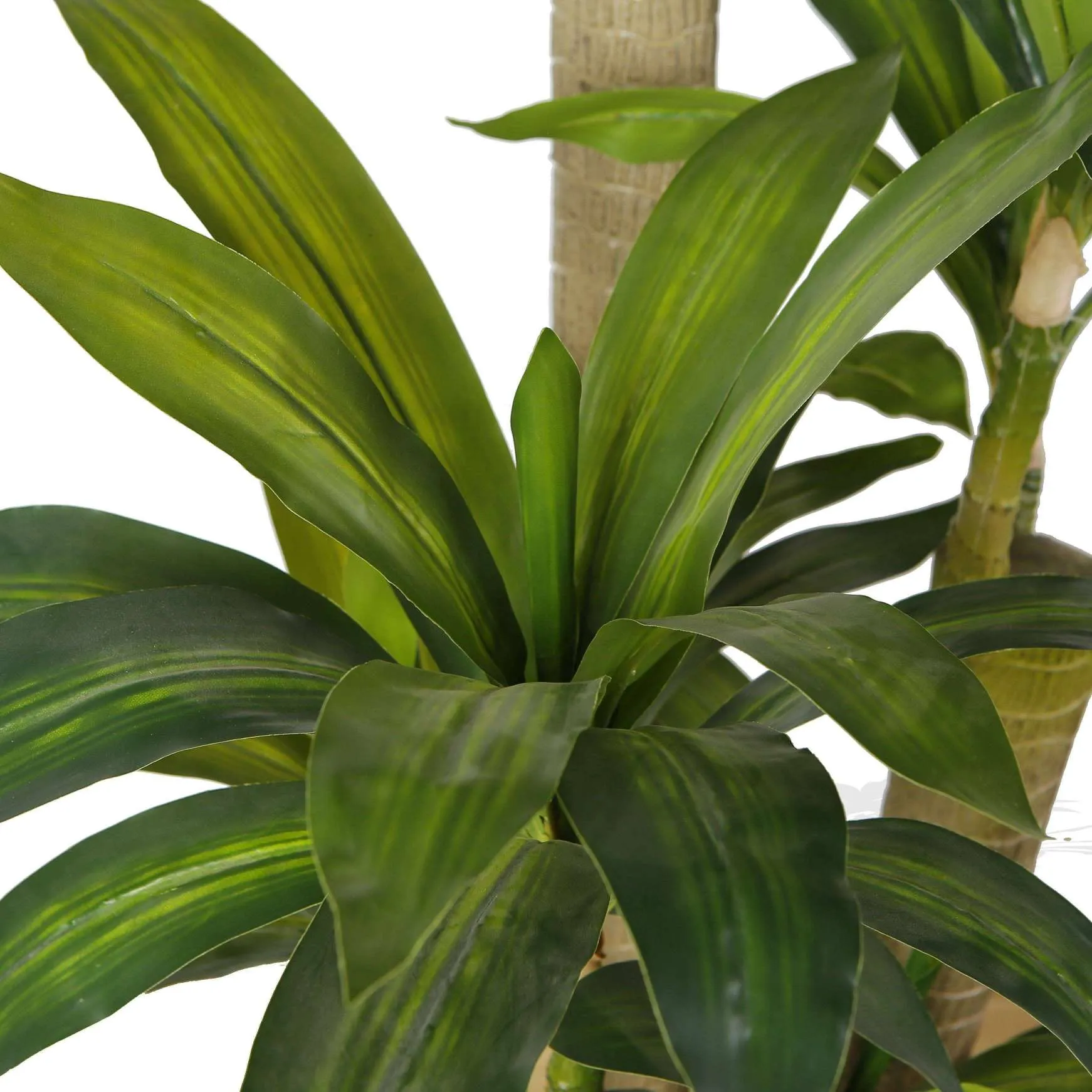 Planta en maceta de árboles artificiales Draecena (múltiples tamaños)