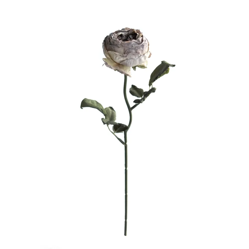 Joanna Montana Rose