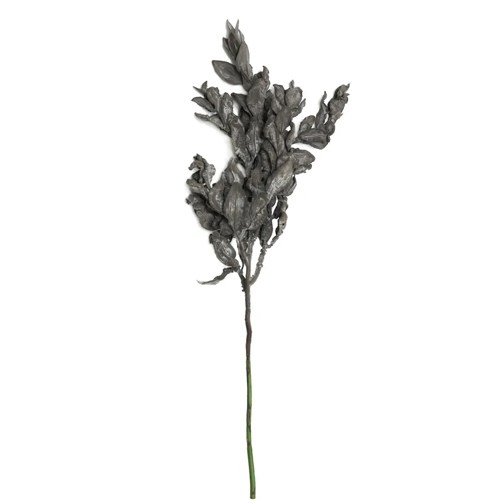 Hoja de yuanbao de rama corta