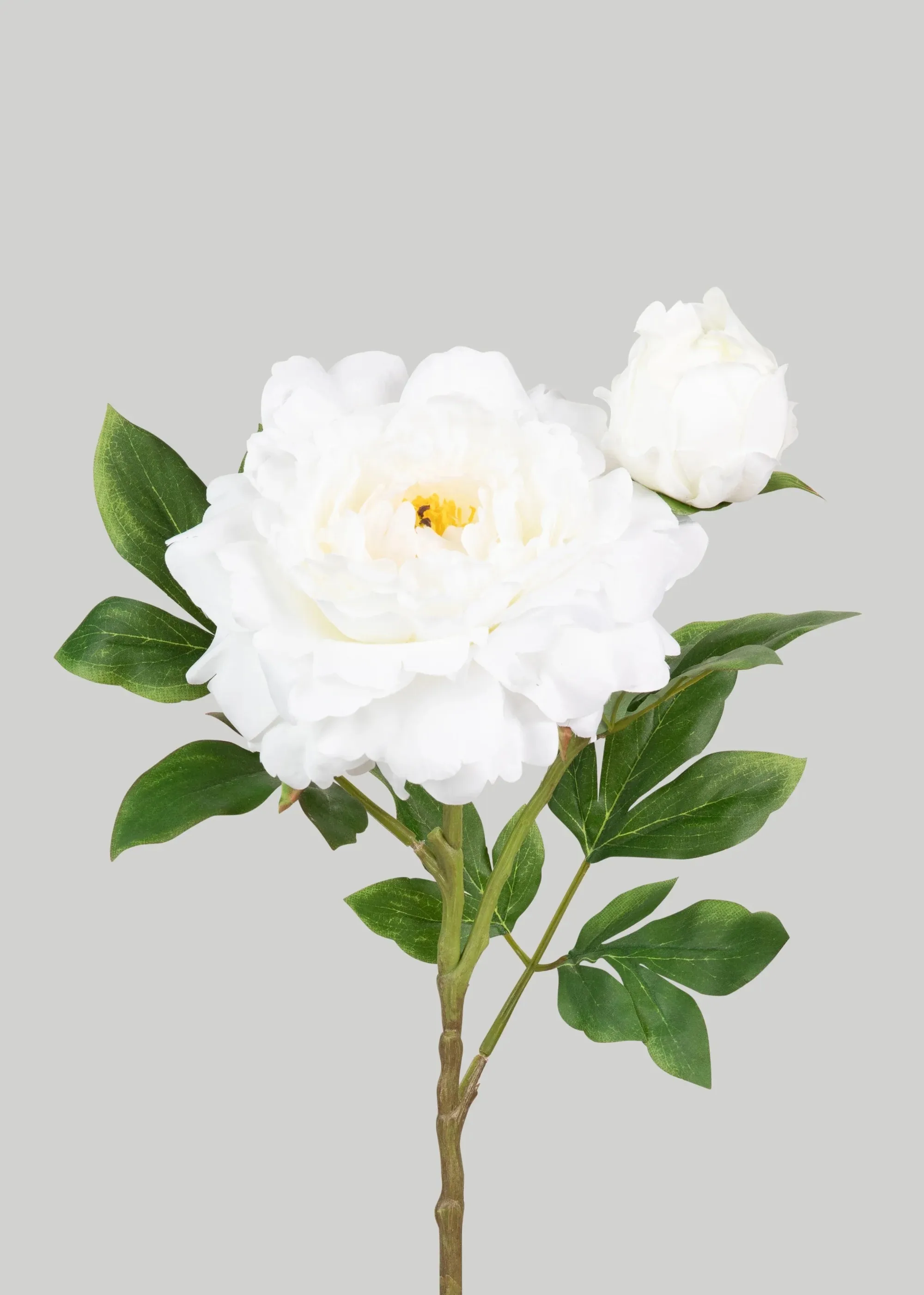 Deluxe Peony Flower Flower