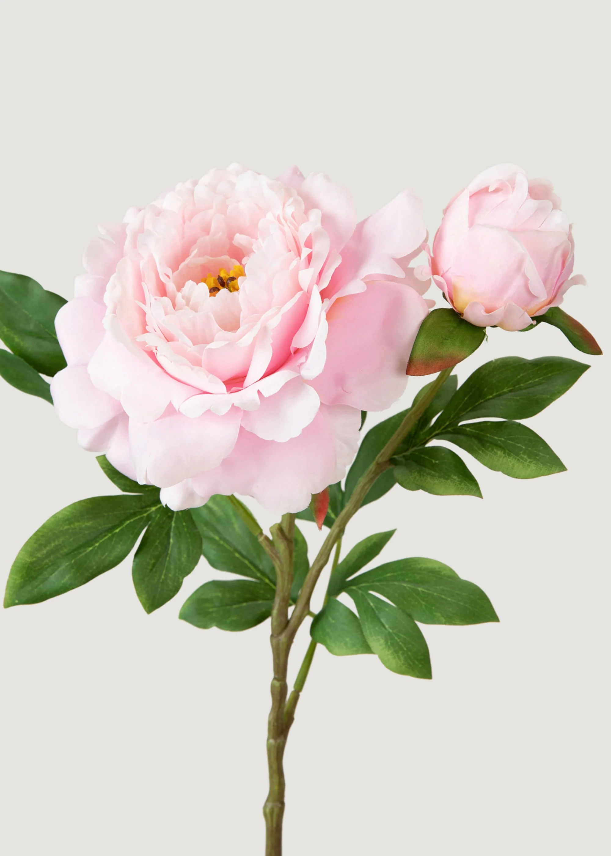 Deluxe Peony Flower Flower