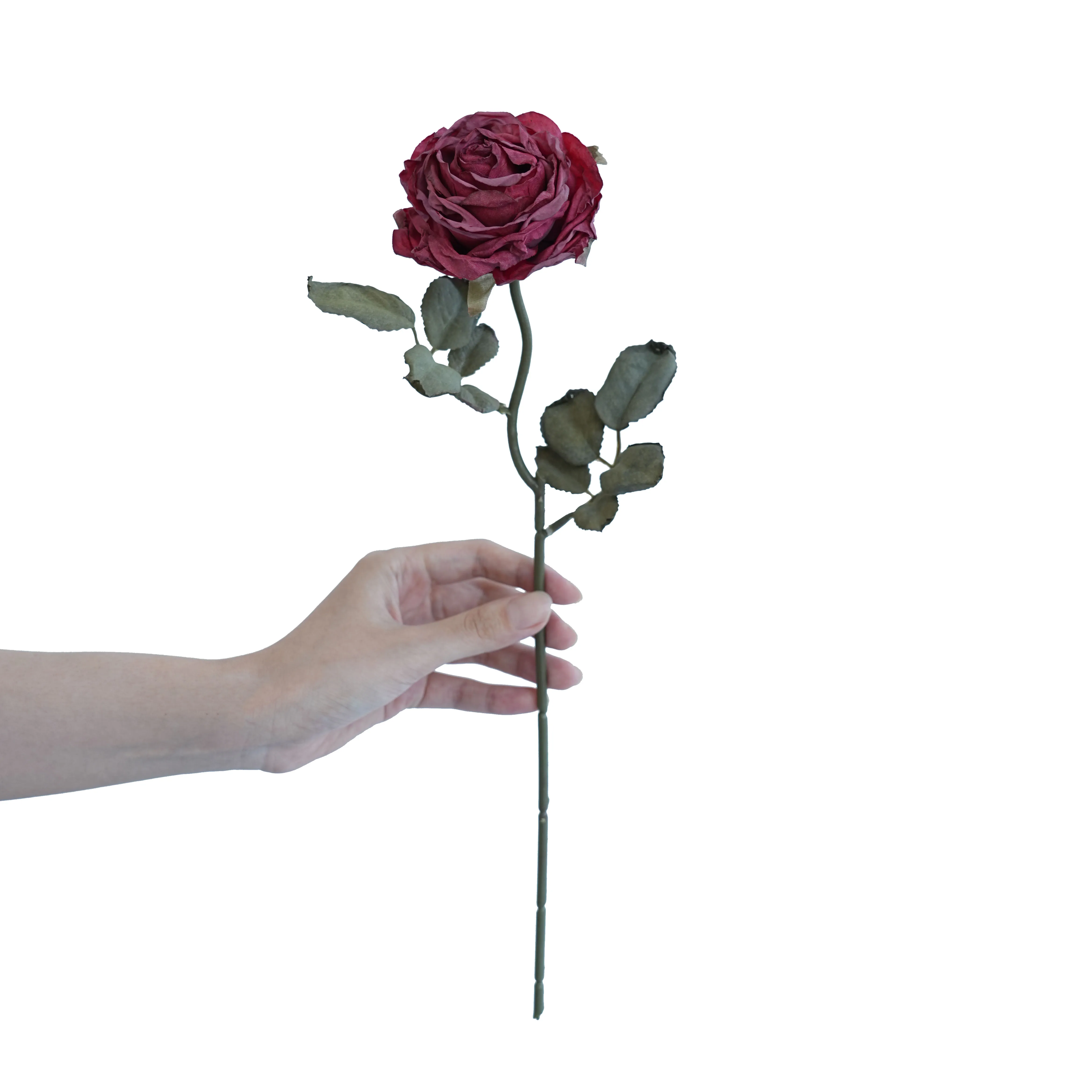 Rosas multicapa con bordes de corcho