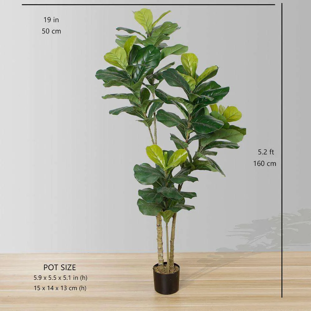 Planta en maceta de hoja de violín artificial rica (tamaño múltiple）