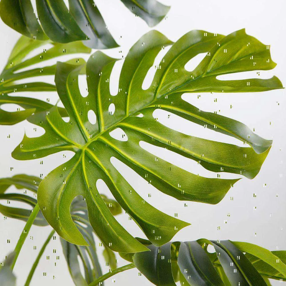 Planta senior de monstruos artificiales (múltiples tamaños）