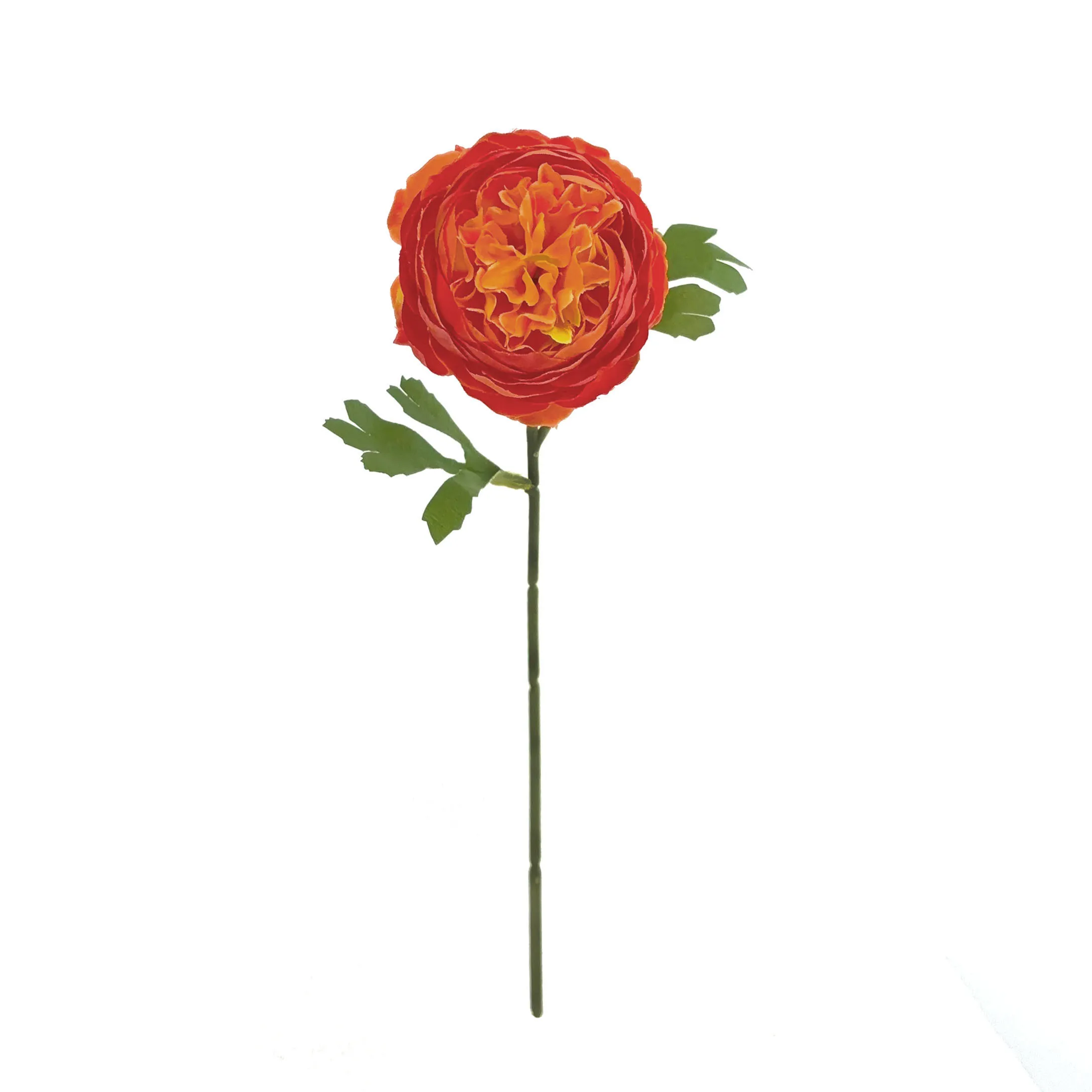 Peonies monoheaded