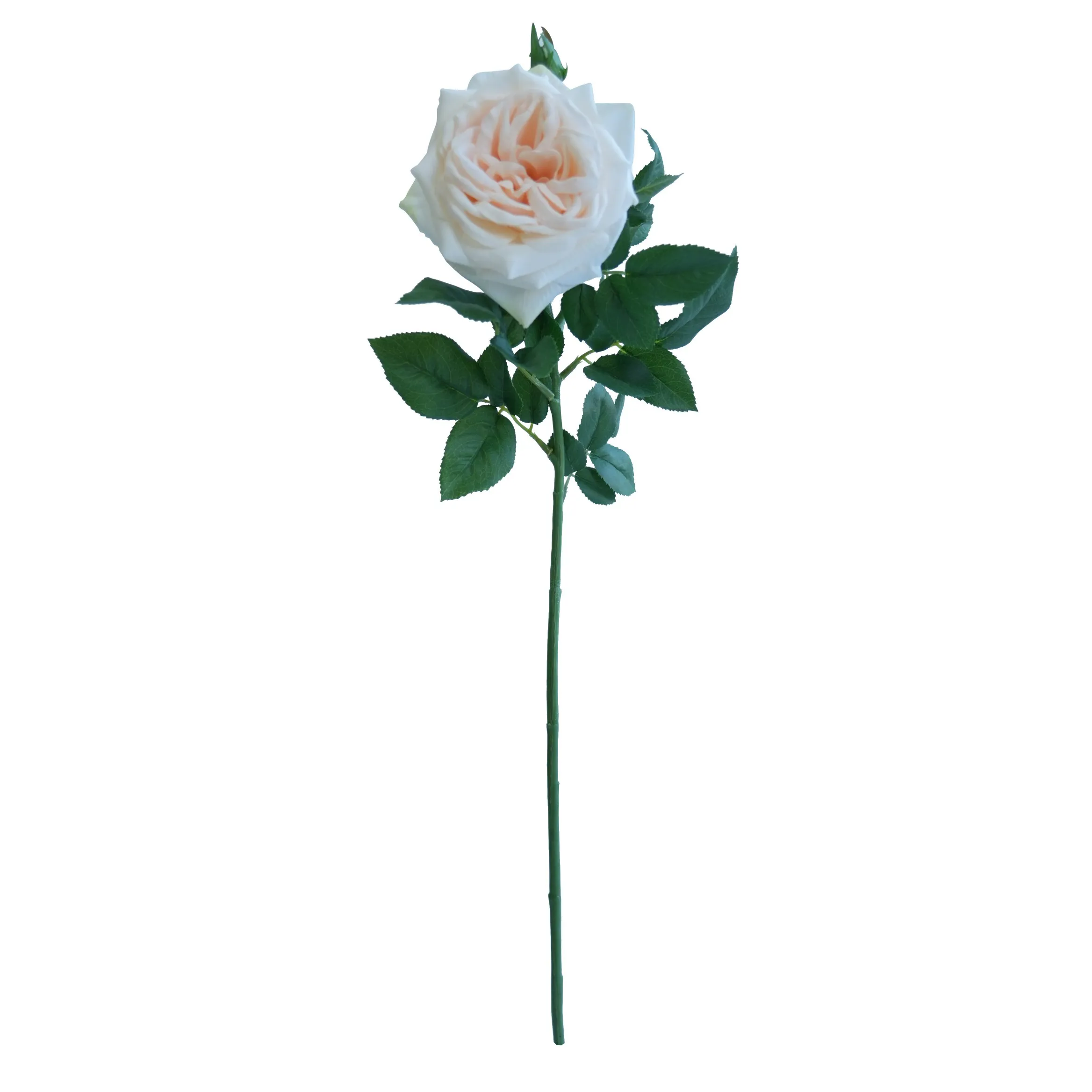 Rose de Lychee individual