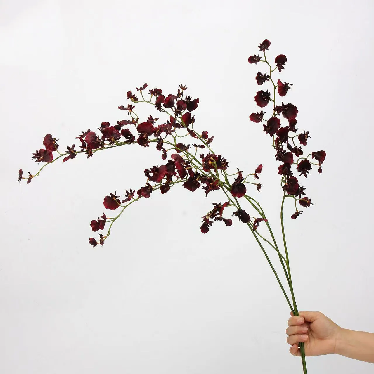 orquídea de baile