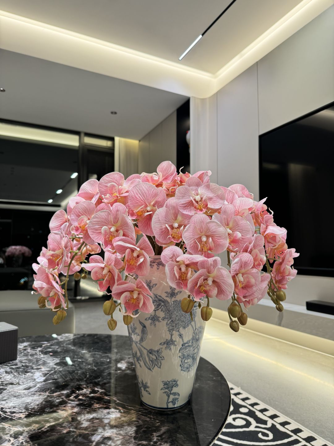 Orquídea de Phalaenopsis
