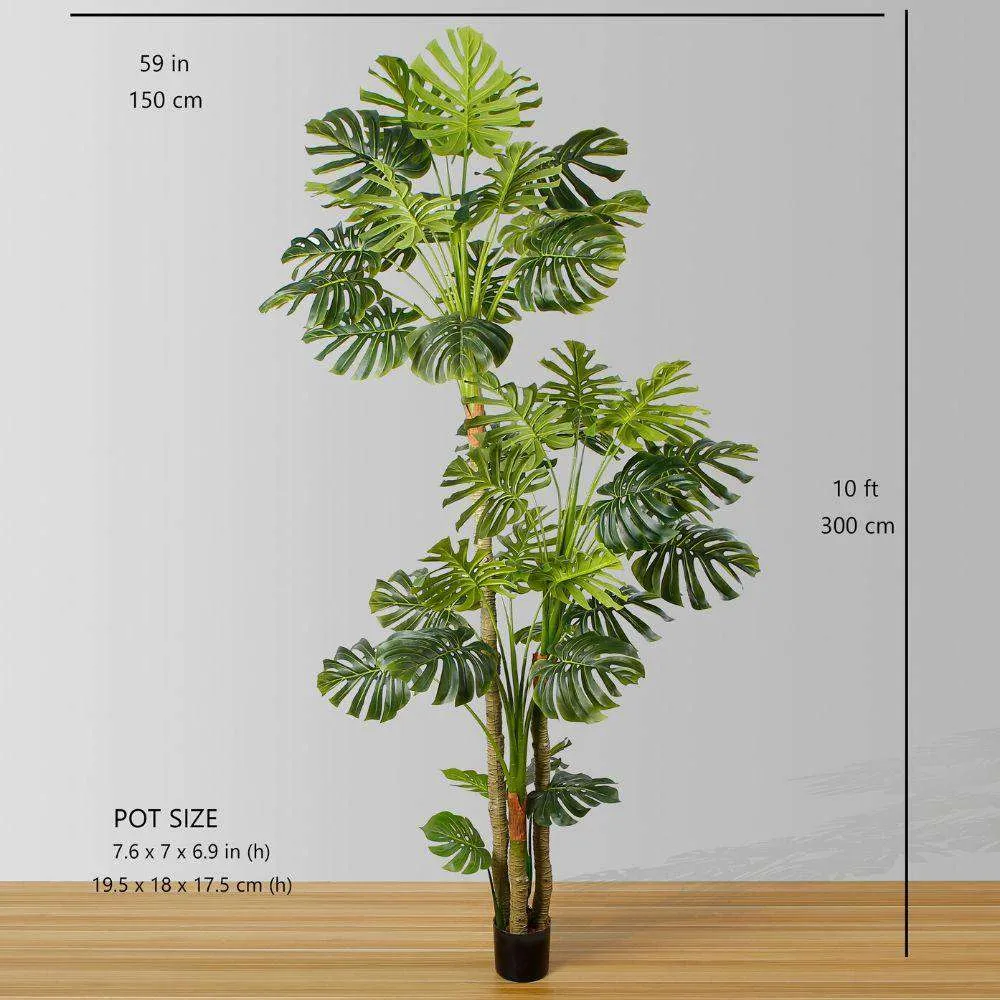 Planta senior de monstruos artificiales (múltiples tamaños）