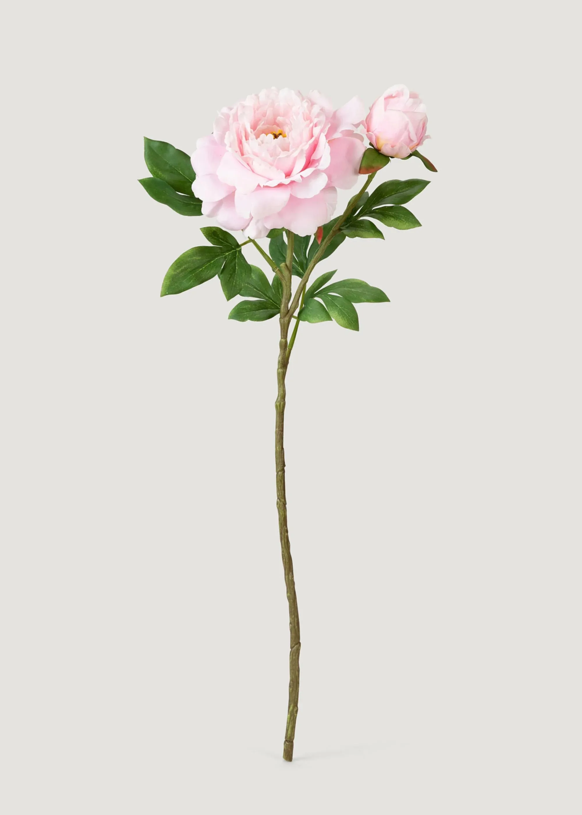 Deluxe Peony Flower Flower