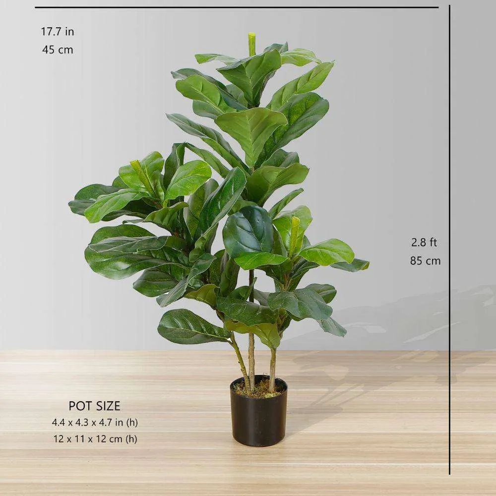 Planta en maceta de hoja de violín artificial rica (tamaño múltiple）