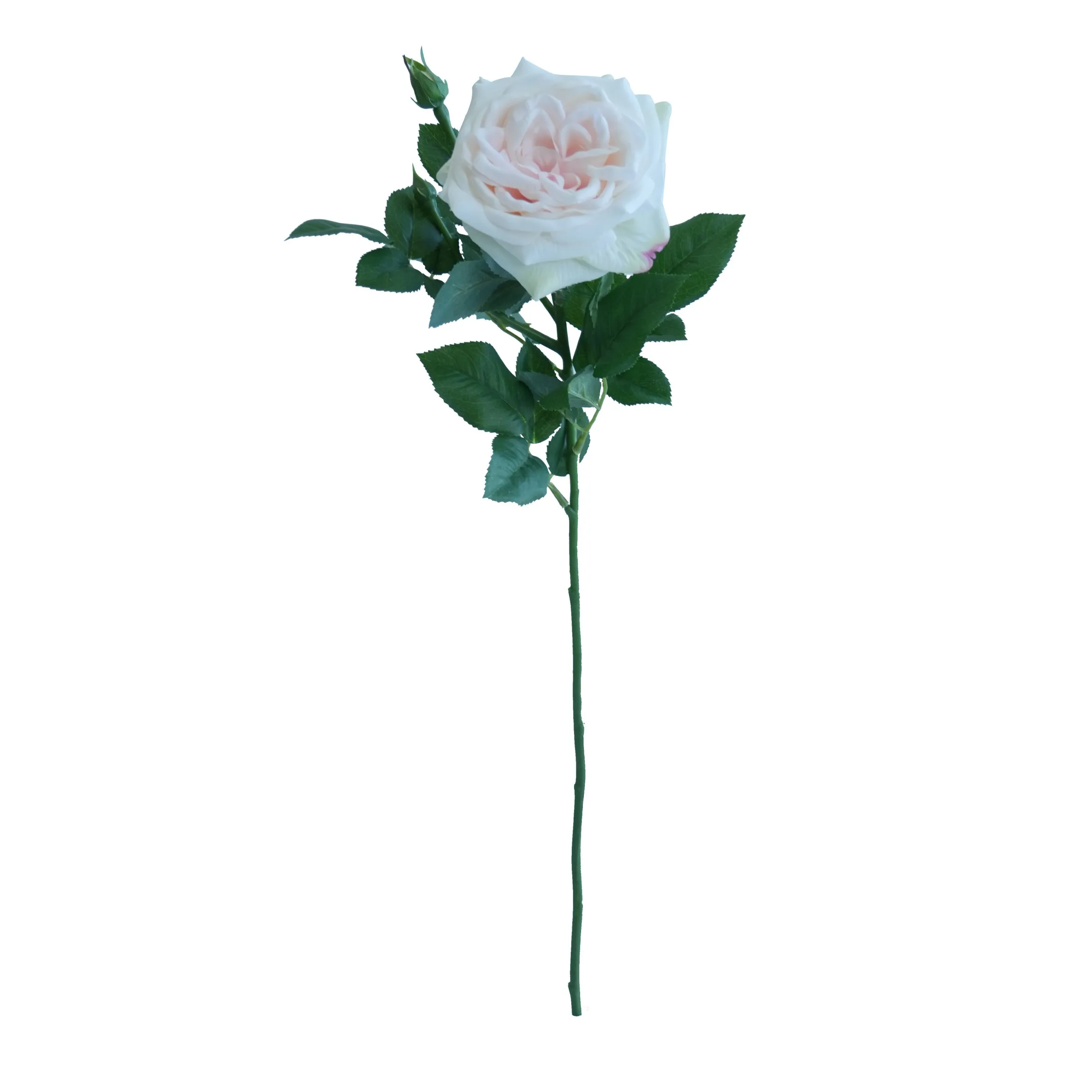Rose de Lychee individual