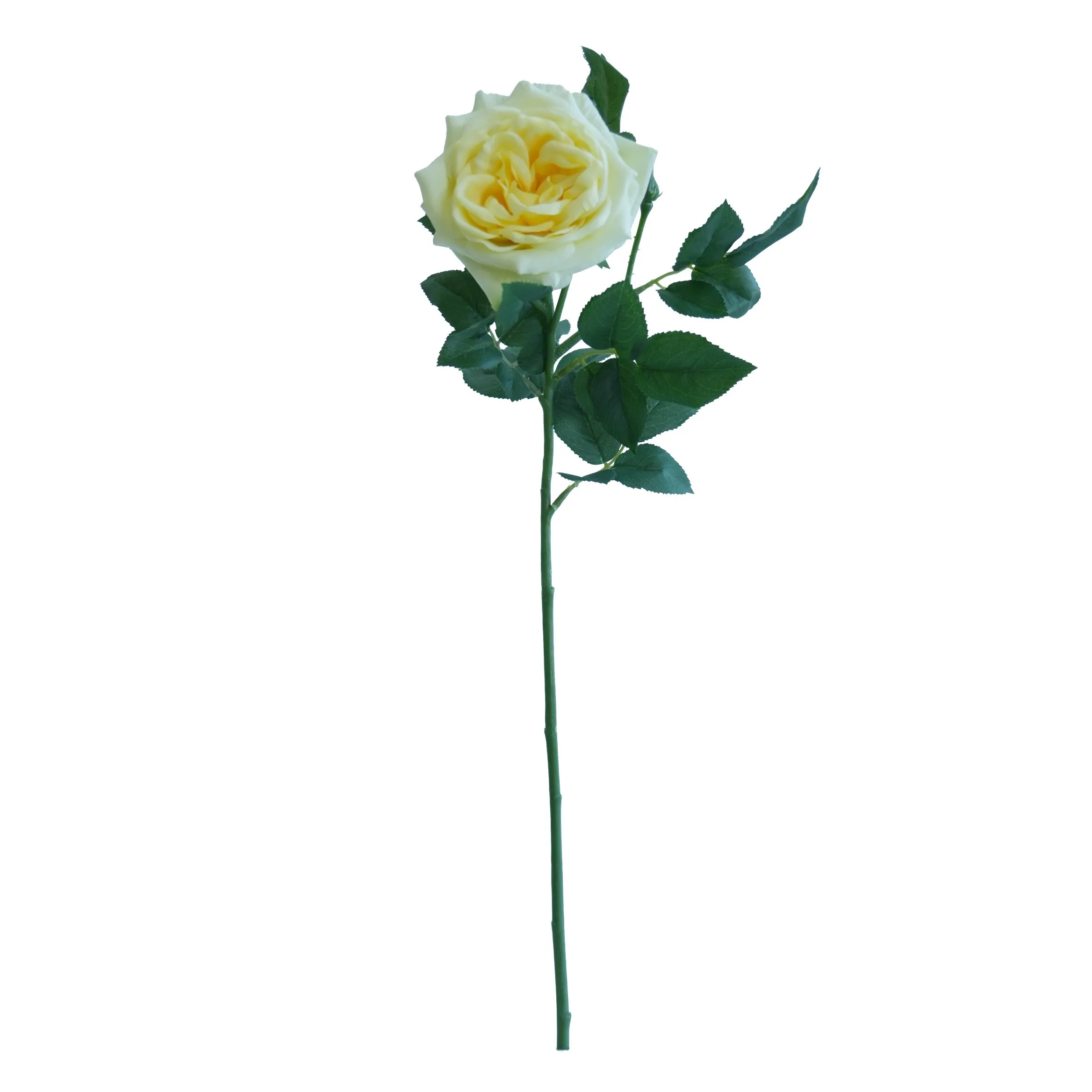 Rose de Lychee individual