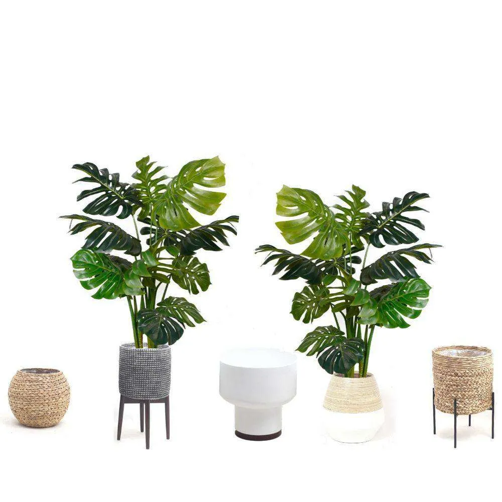 Planta en macetas de monstruo artificial ámbar 45