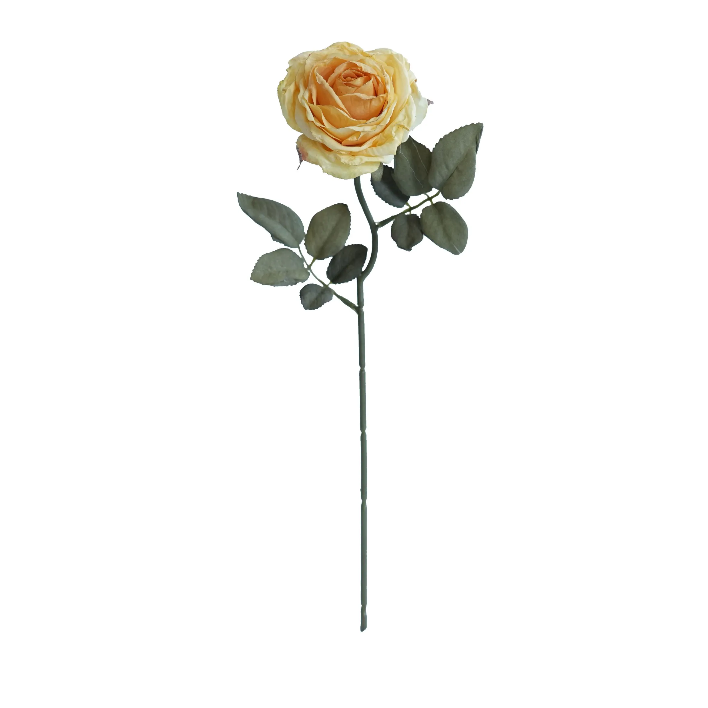 Rosas multicapa con bordes de corcho