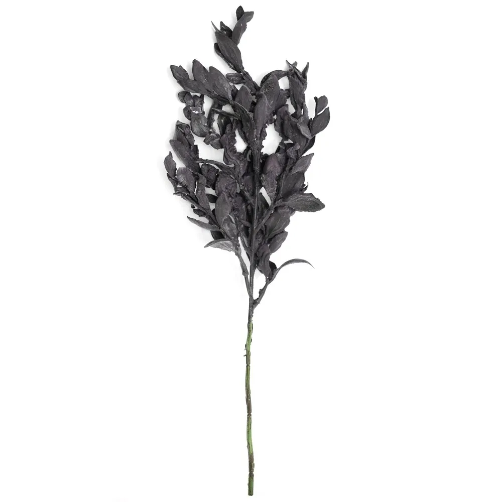 Hoja de yuanbao de rama corta