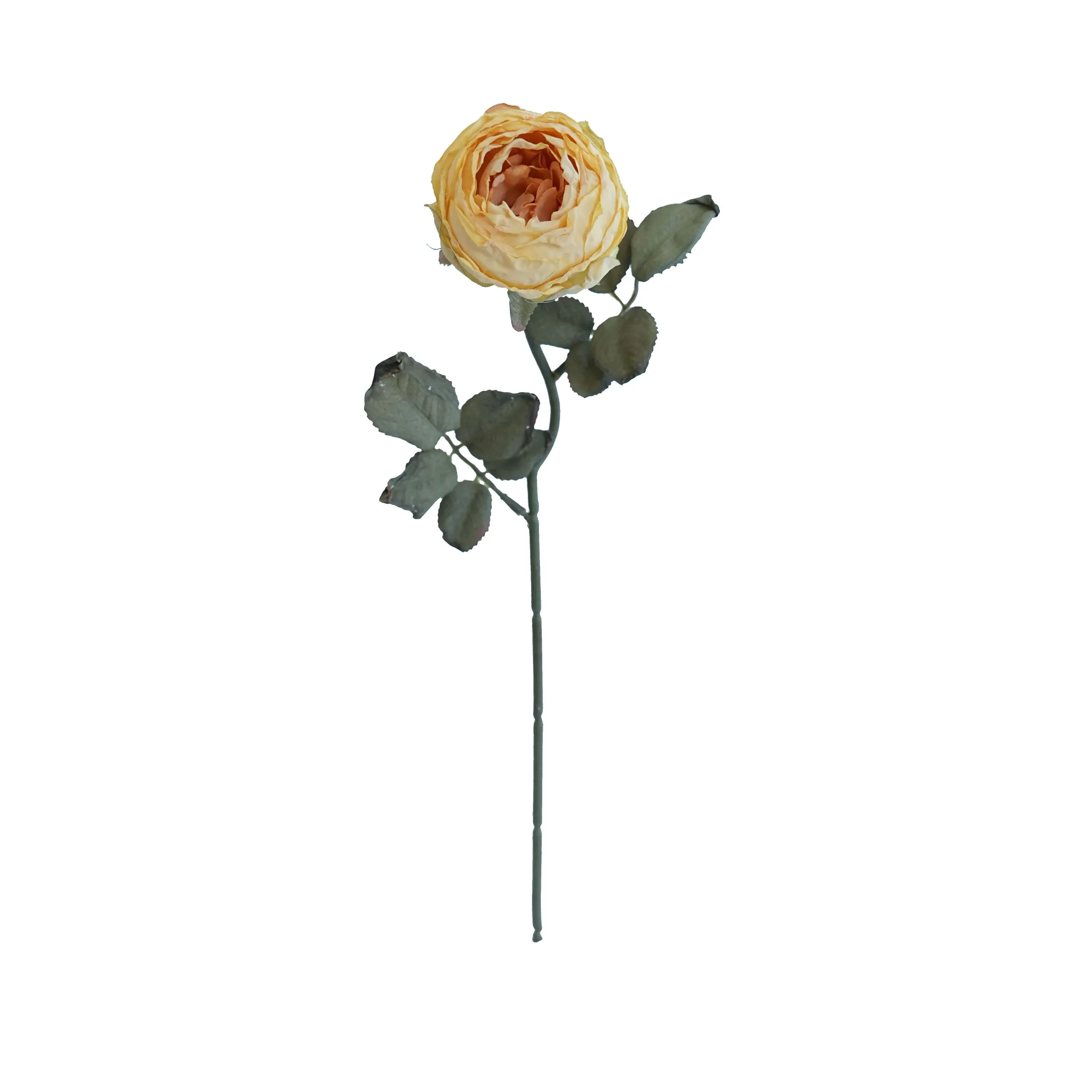 Joanna Montana Rose