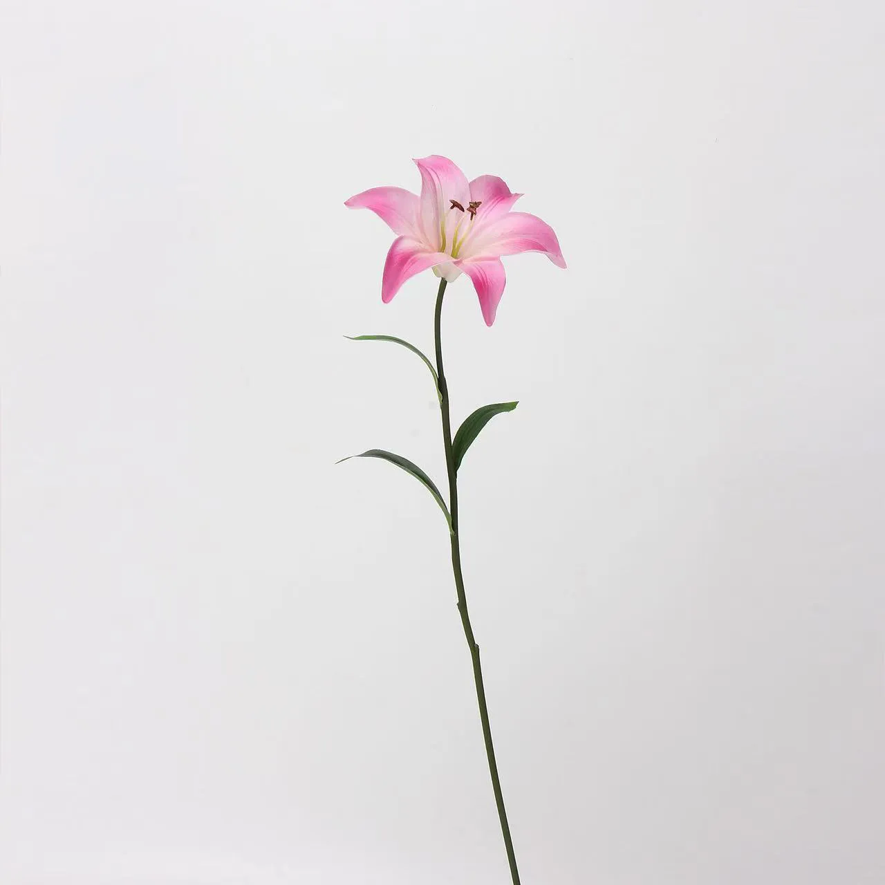 Flor de simulación de impresión 3D: hardware como un verdadero reflejo de la fuerza de fábrica