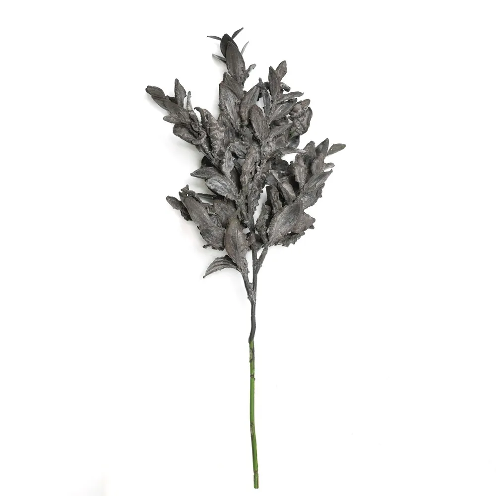 Hoja de yuanbao de rama corta