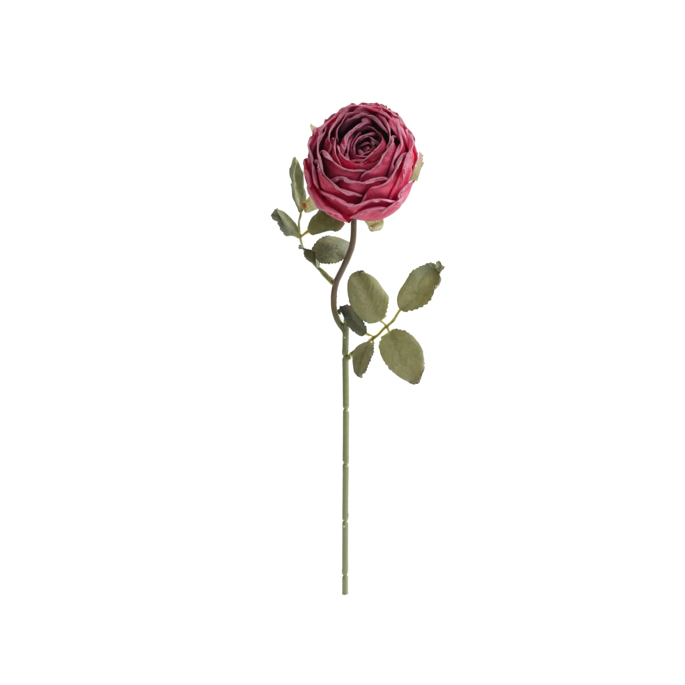 Rosas redondas picadas