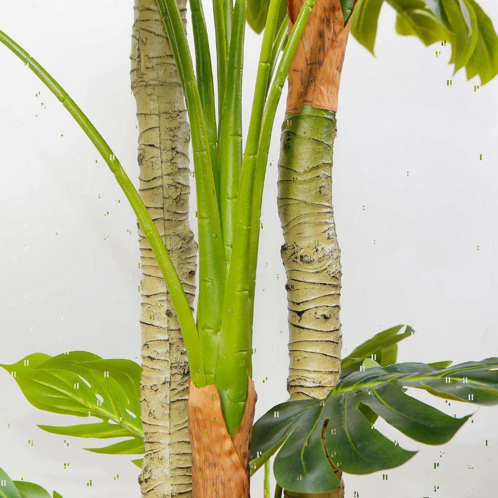 Planta senior de monstruos artificiales (múltiples tamaños）
