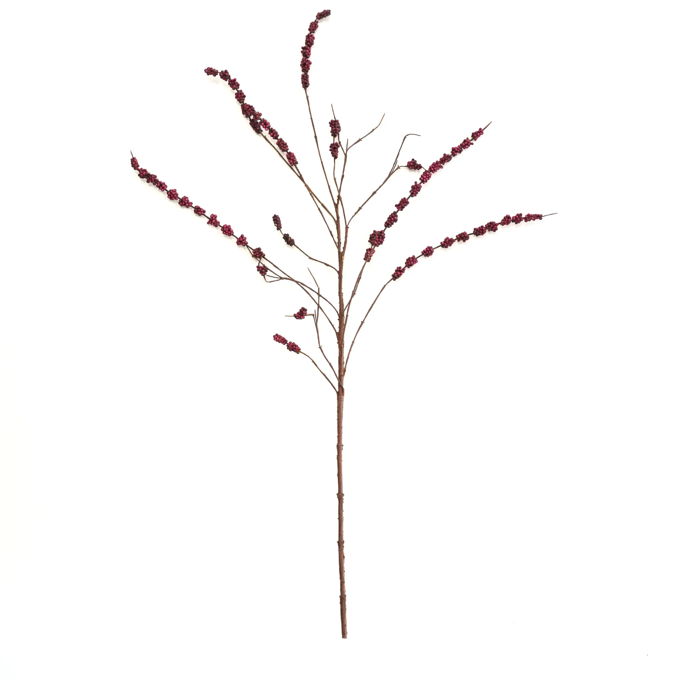 Fruta de moras