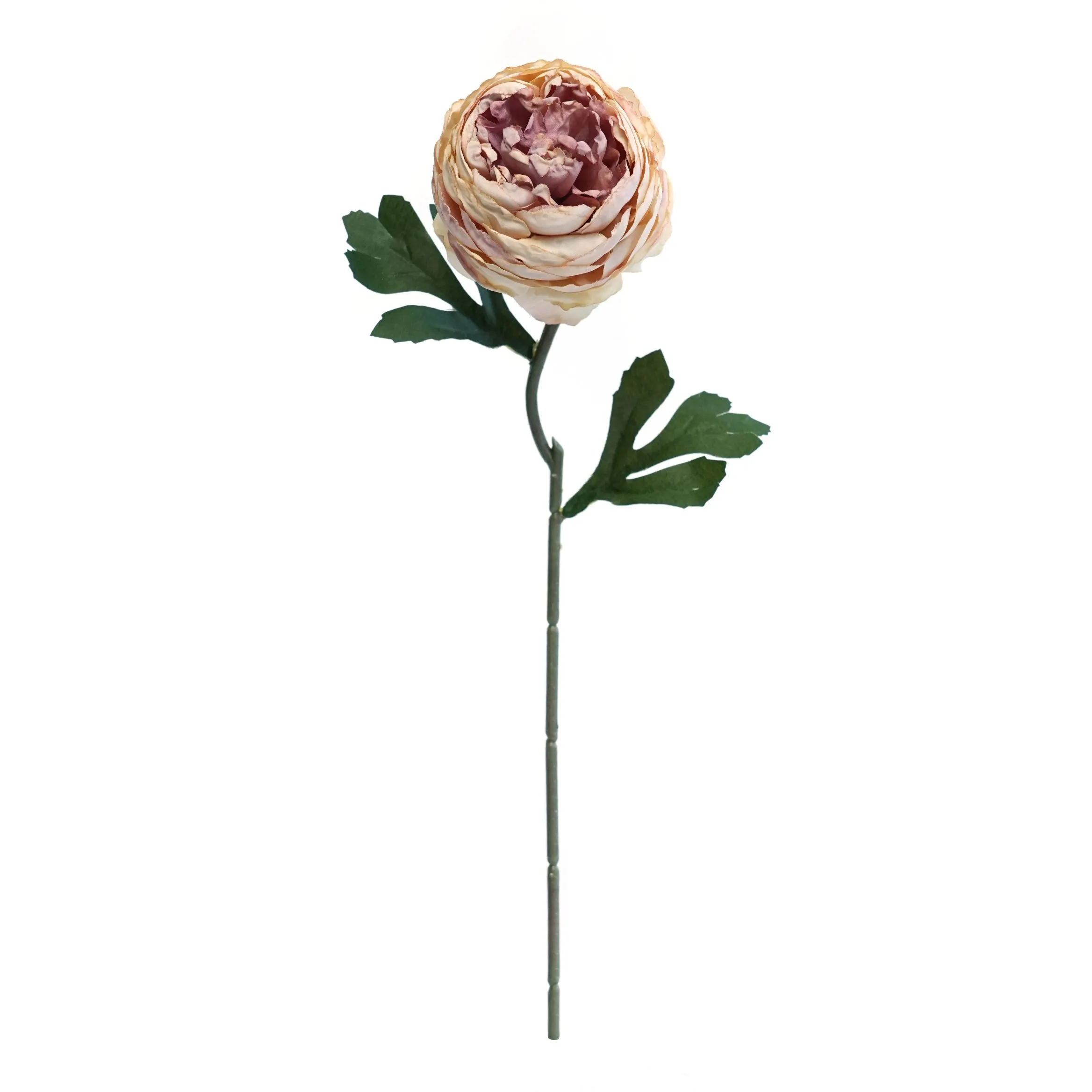 ciruelas de té picadas