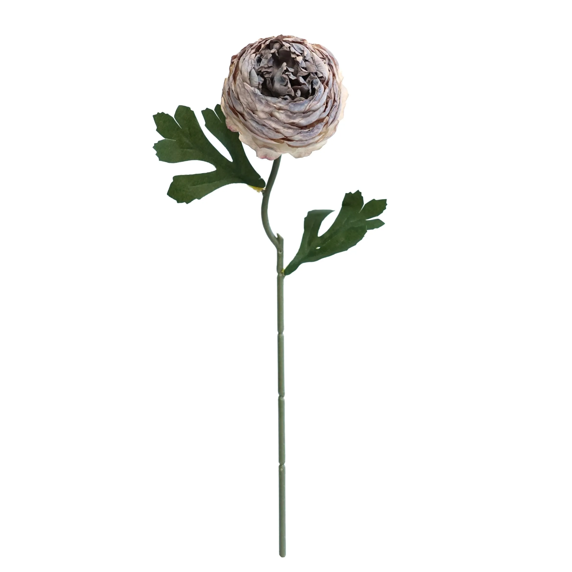 ciruelas de té picadas