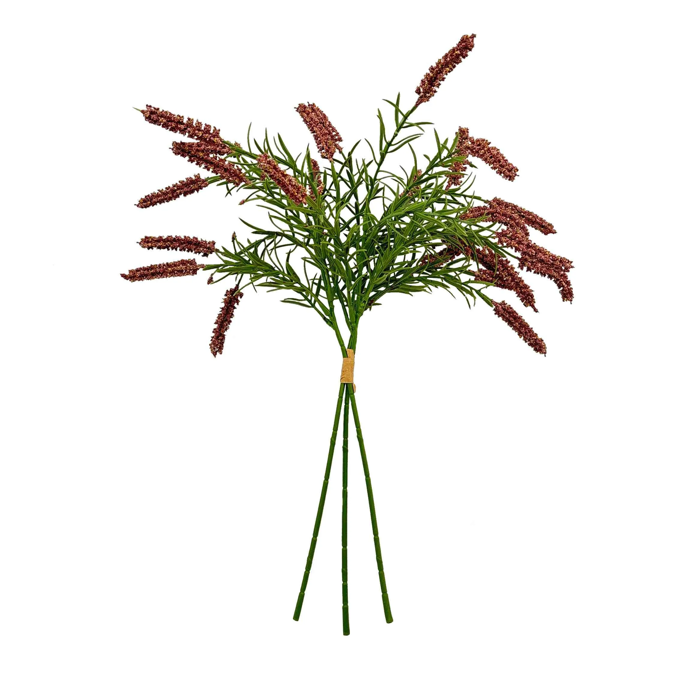 Punte de las flores de caña