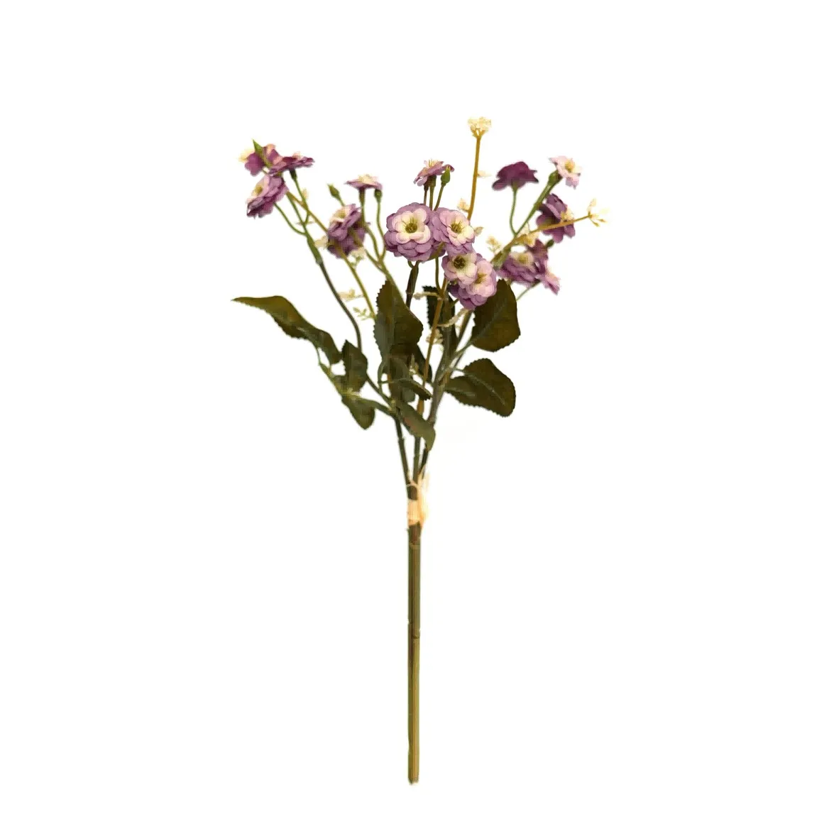 pequeñas rosas