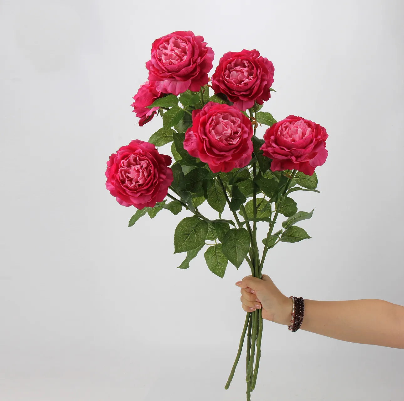 Rocío de loto rosa