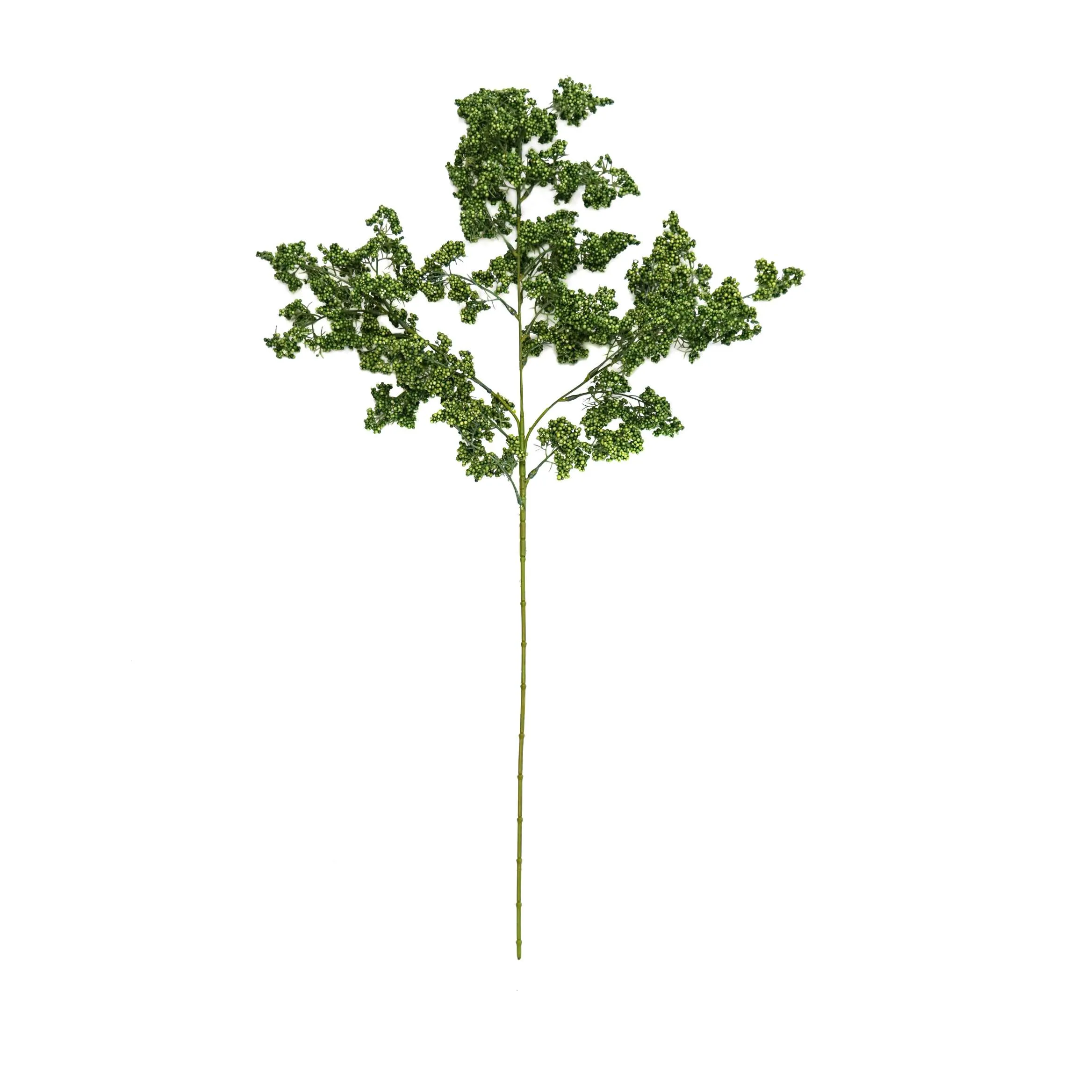 Una sola fruta verde invernal
