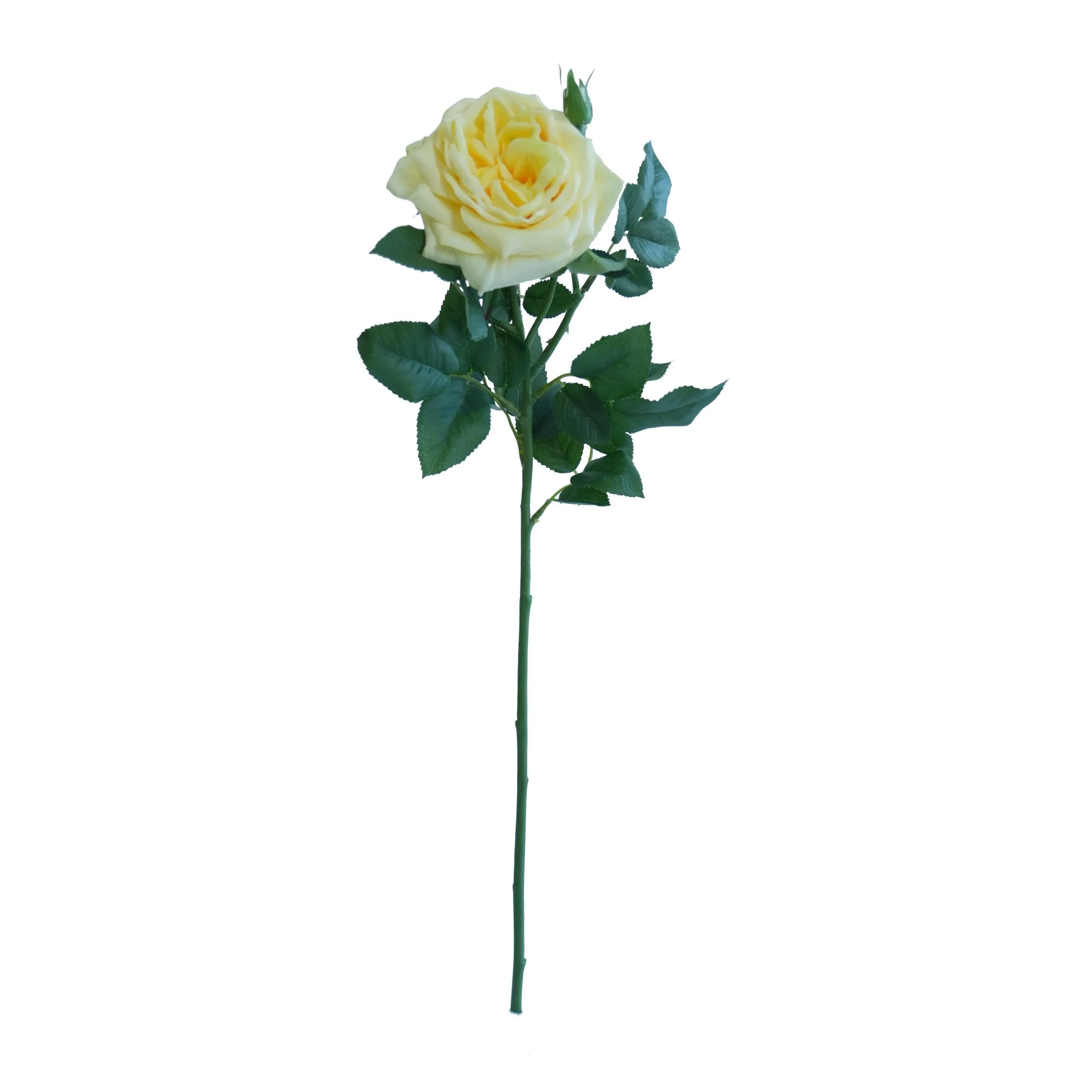 Rose de Lychee individual