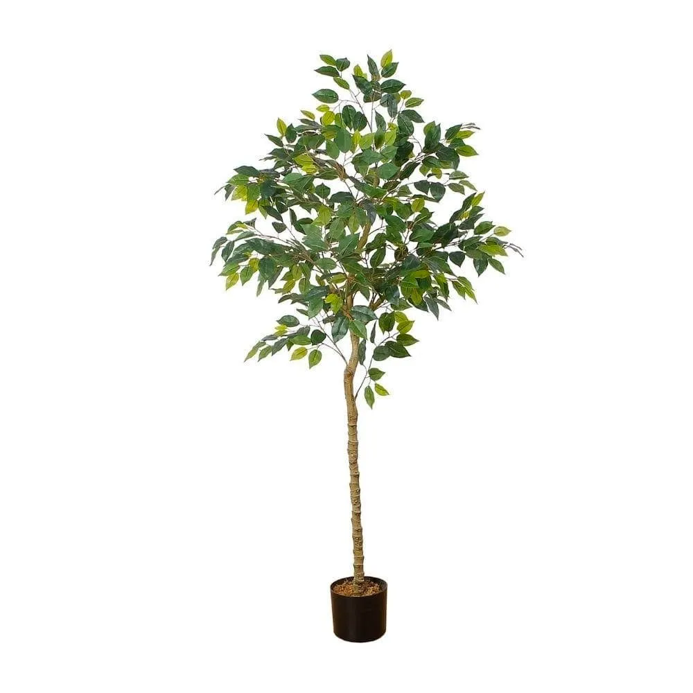 Planta en macetas de árbol ficus artificial (múltiples tamaños)