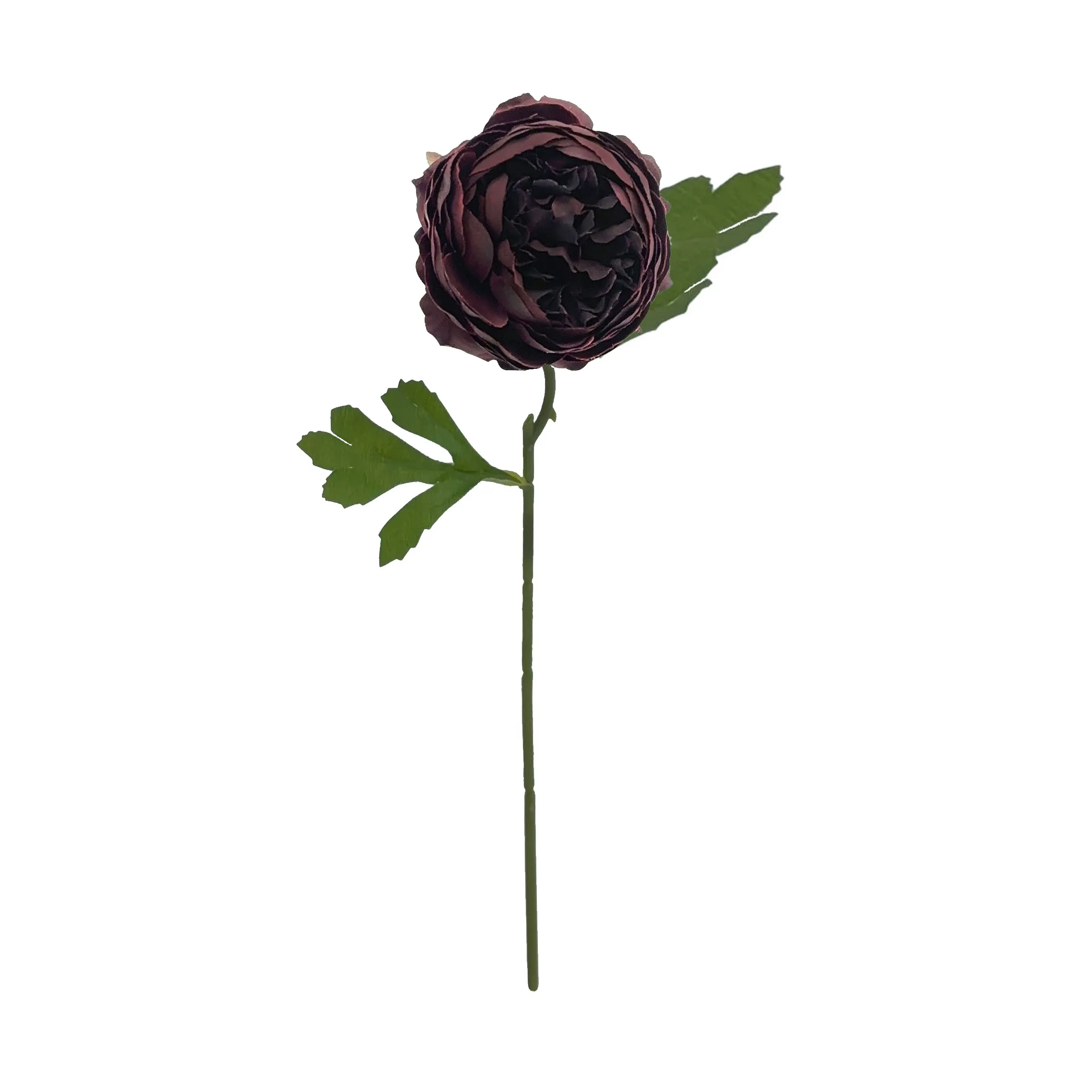 Peonies monoheaded