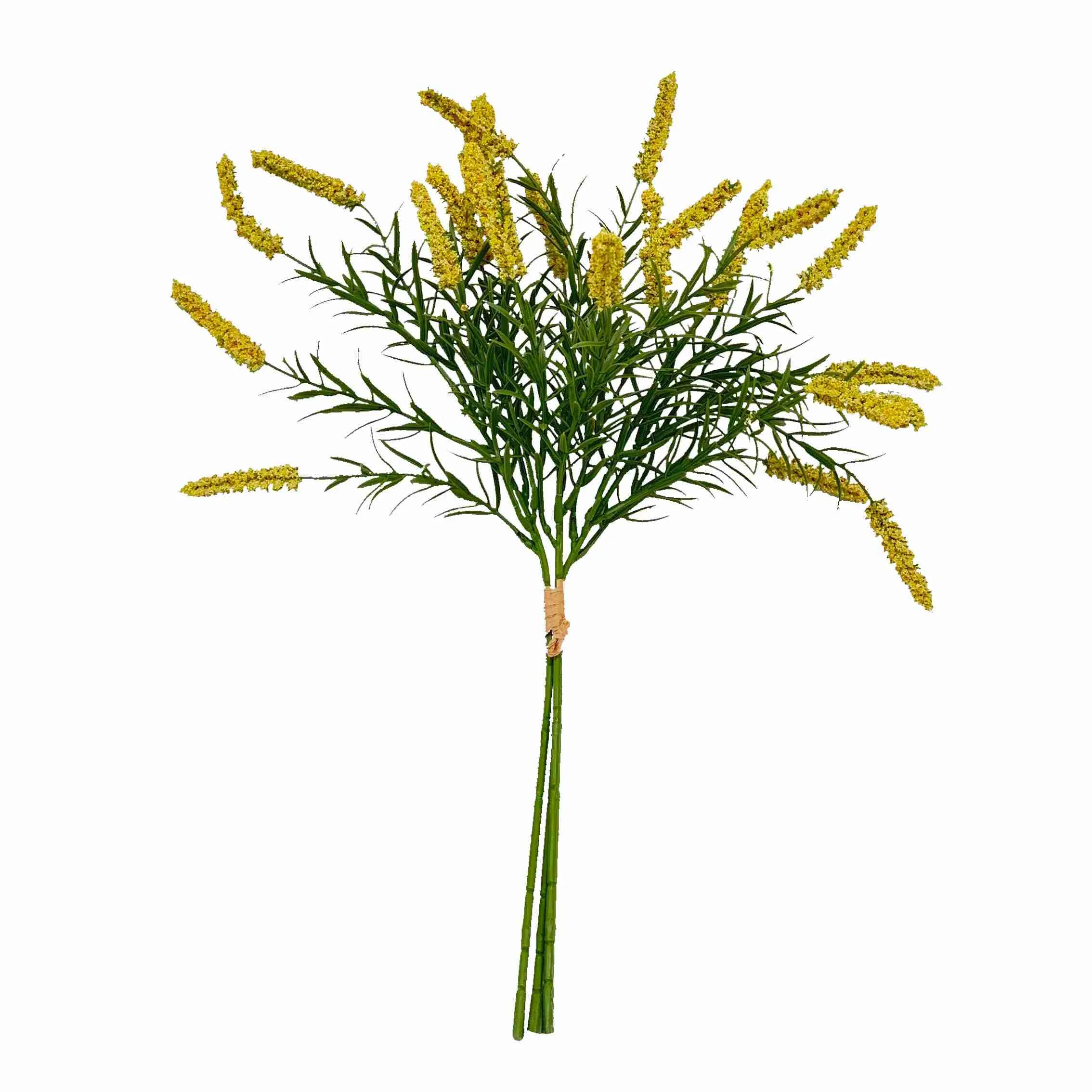 Punte de las flores de caña