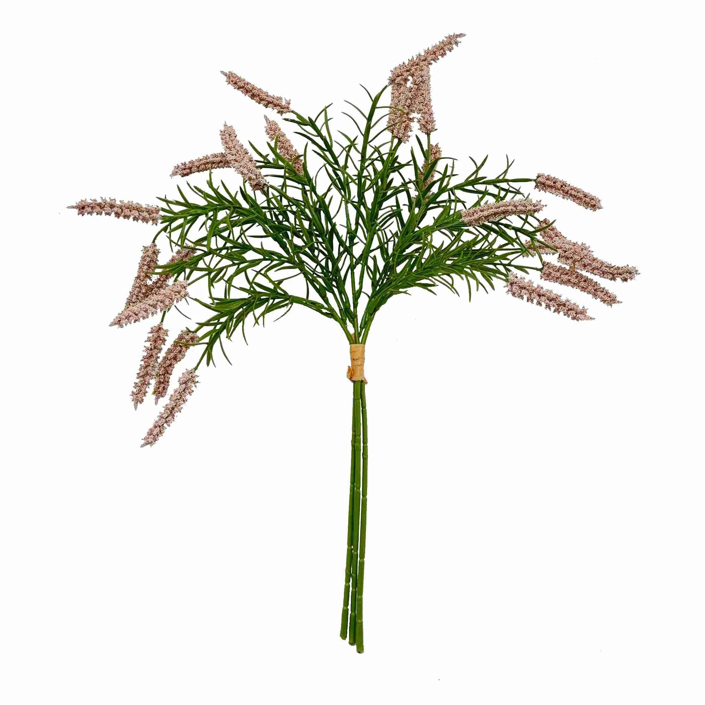 Punte de las flores de caña