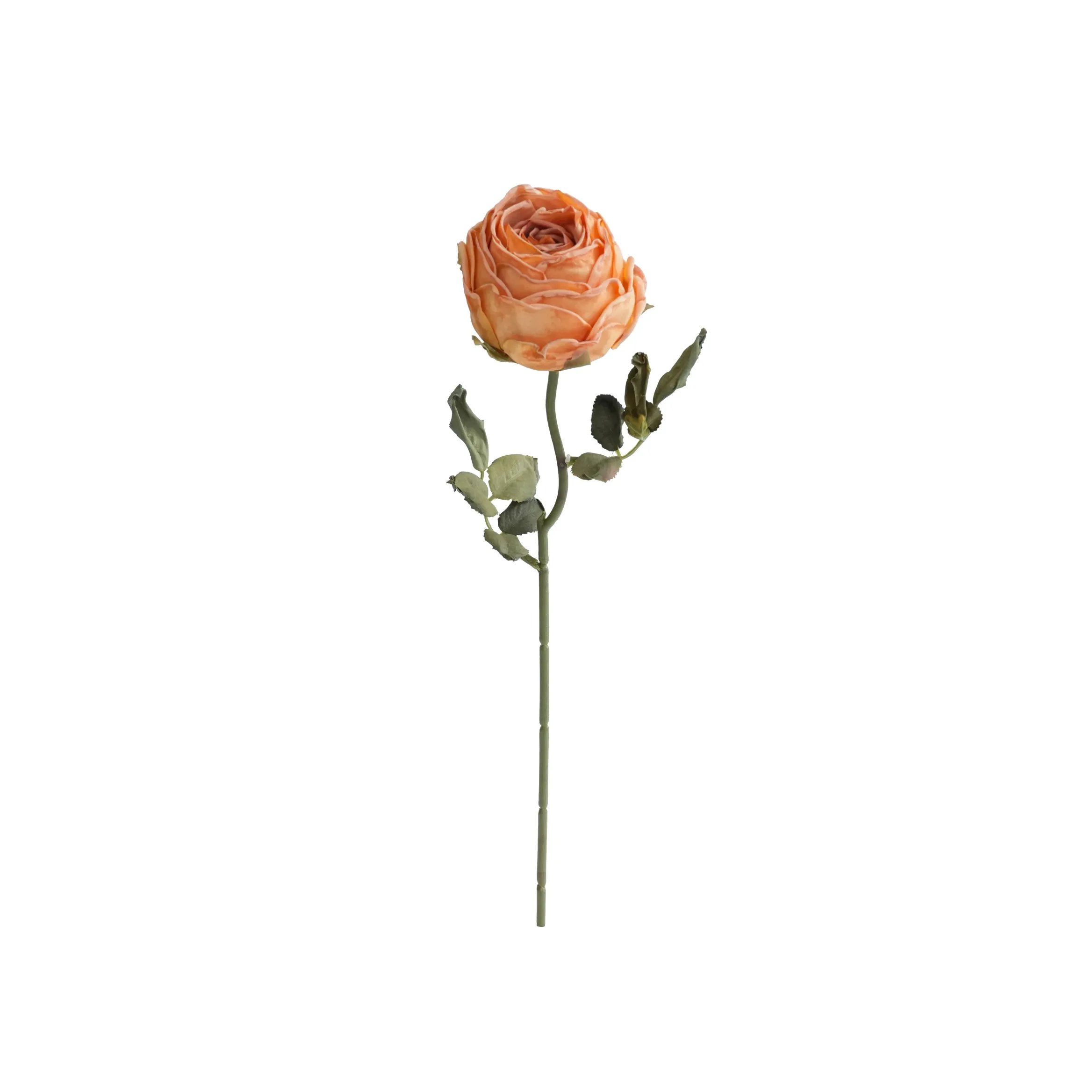 Rosas redondas picadas